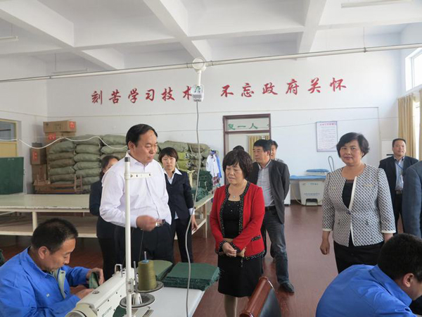 闻喜县人大调研指导我县残疾人工作(图1)