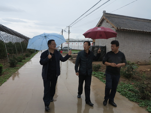 闻喜残联理事长下乡考察残疾人实用技术培训基地(图1)